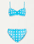 Pink City Prints Aqua Gingham Bra and Pants Set